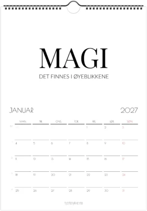 2027 - Et år å ta vare på - Bilde 2