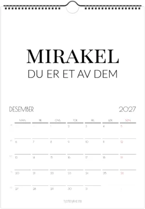 2027 - Et år å ta vare på - Bilde 13